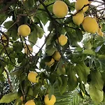Appartamento Moderne à Avec Jardin Et Terrasse Antibes