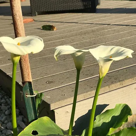 公寓 Moderne A Avec Jardin Et Terrasse *